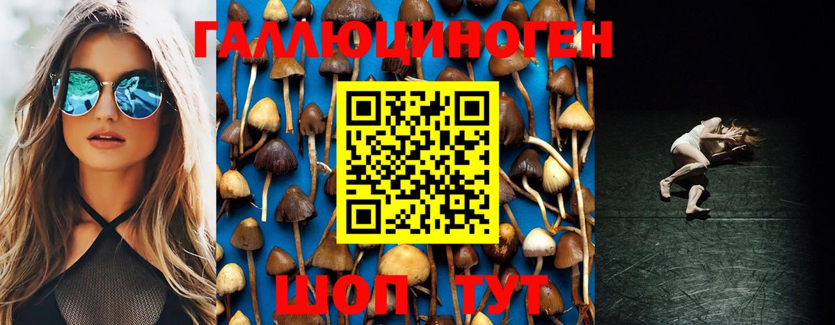 Галлюциногенные грибы мухоморы  Вход с VPN  Псилоцибиновые грибы MAGIC MUSHROOMS  цены   Пенза 